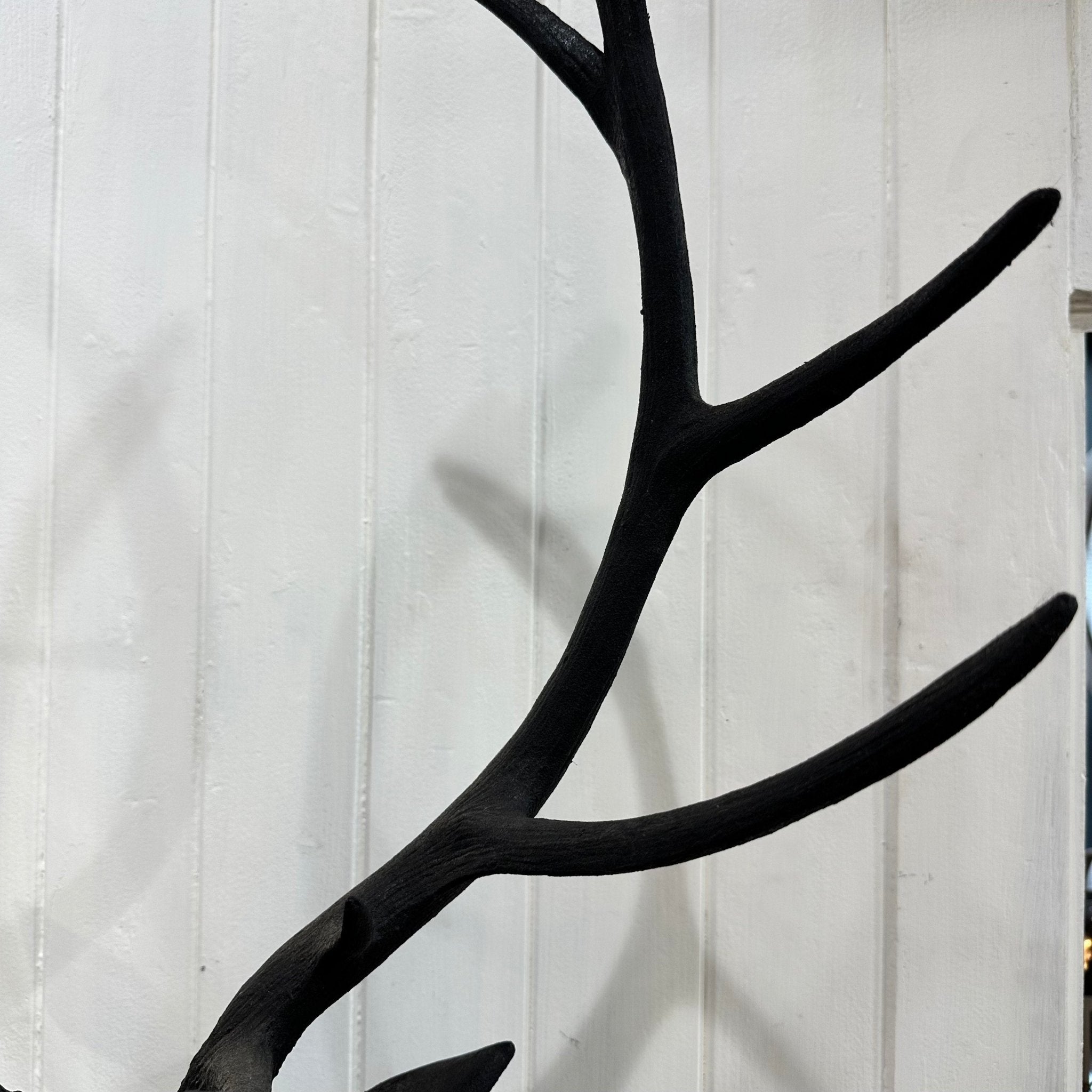 Deer Head in Iron Black - Mirror Mirror Australia