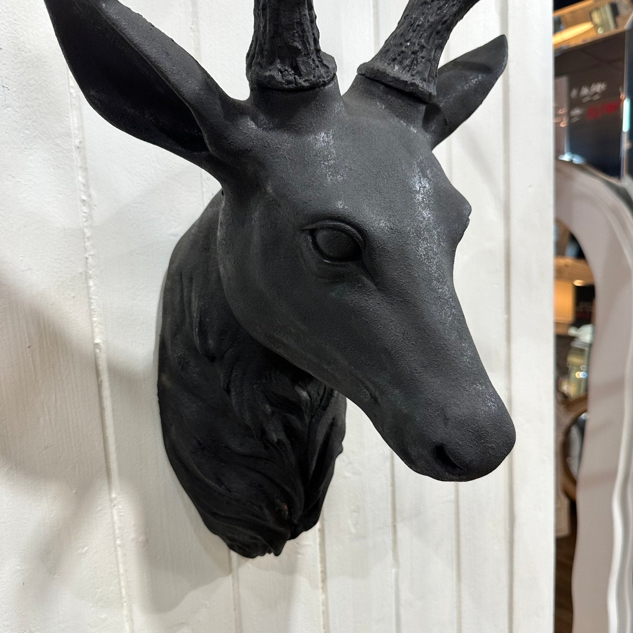 Deer Head in Iron Black - Mirror Mirror Australia