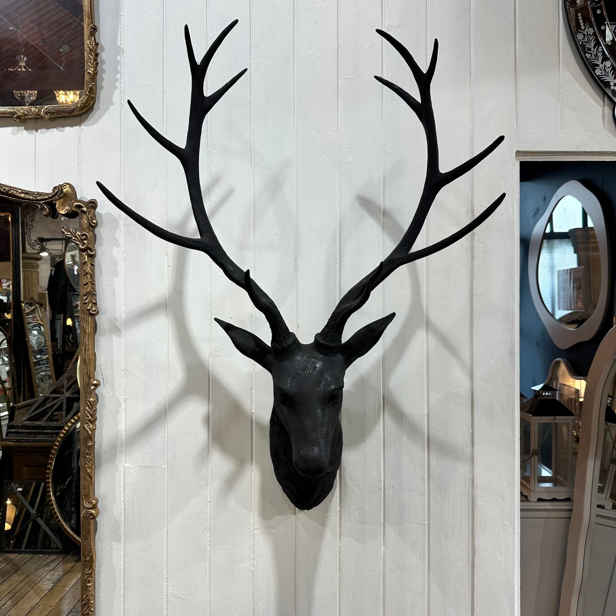 Deer Head in Iron Black - Mirror Mirror Australia